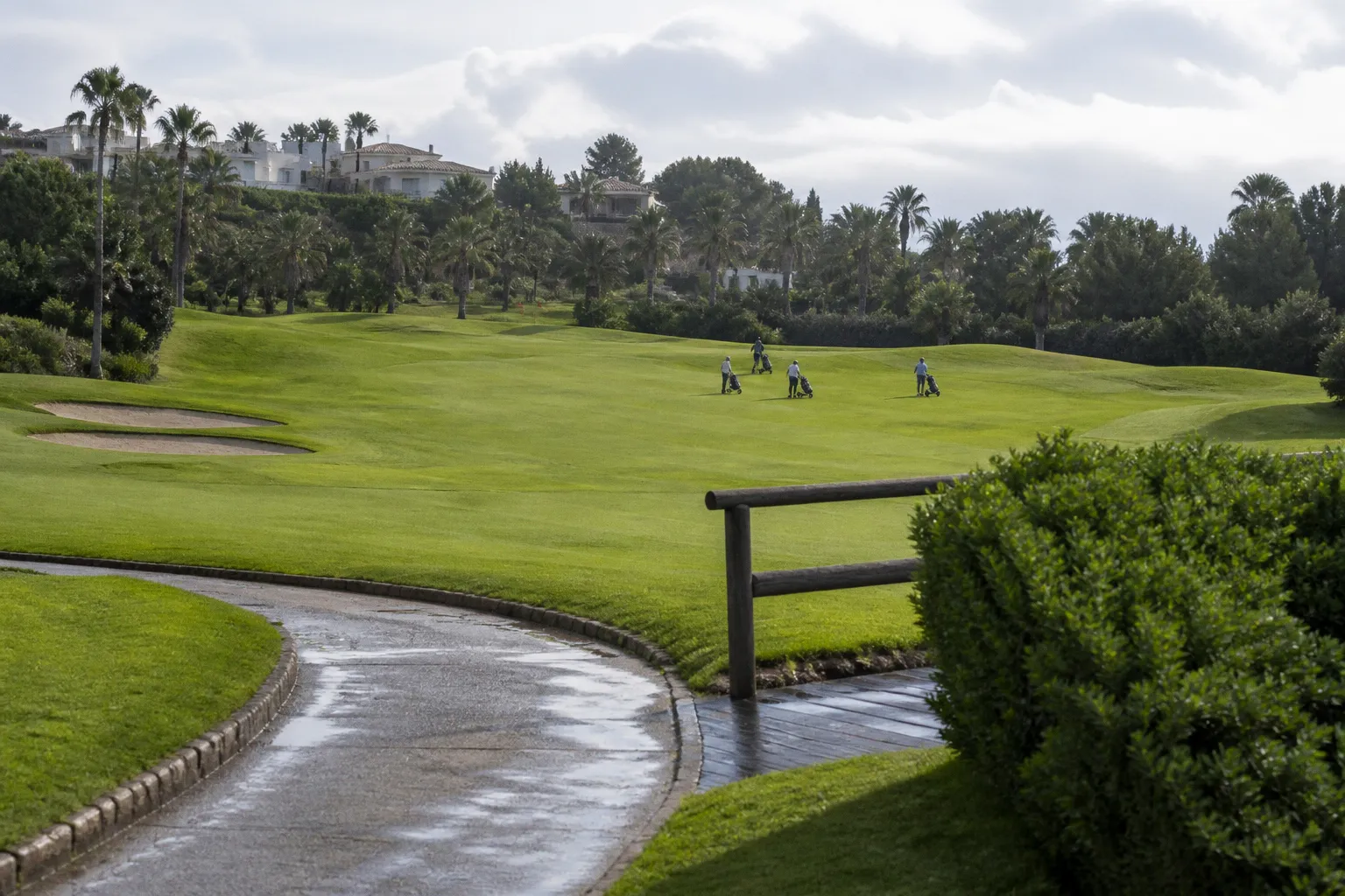 Rafael Nadal Finds New Competitive Life on the Golf Course After Tennis Retirement