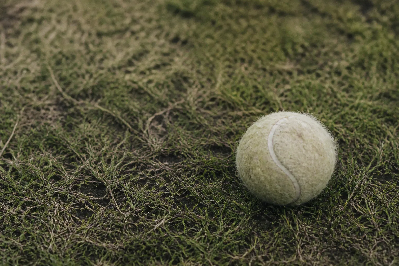 Wimbledon 1991: the day the People’s Sunday changed tennis